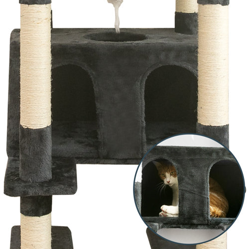 Tucker Murphy Pet™ 75" Amariani Large Cat Condo & Reviews Wayfair